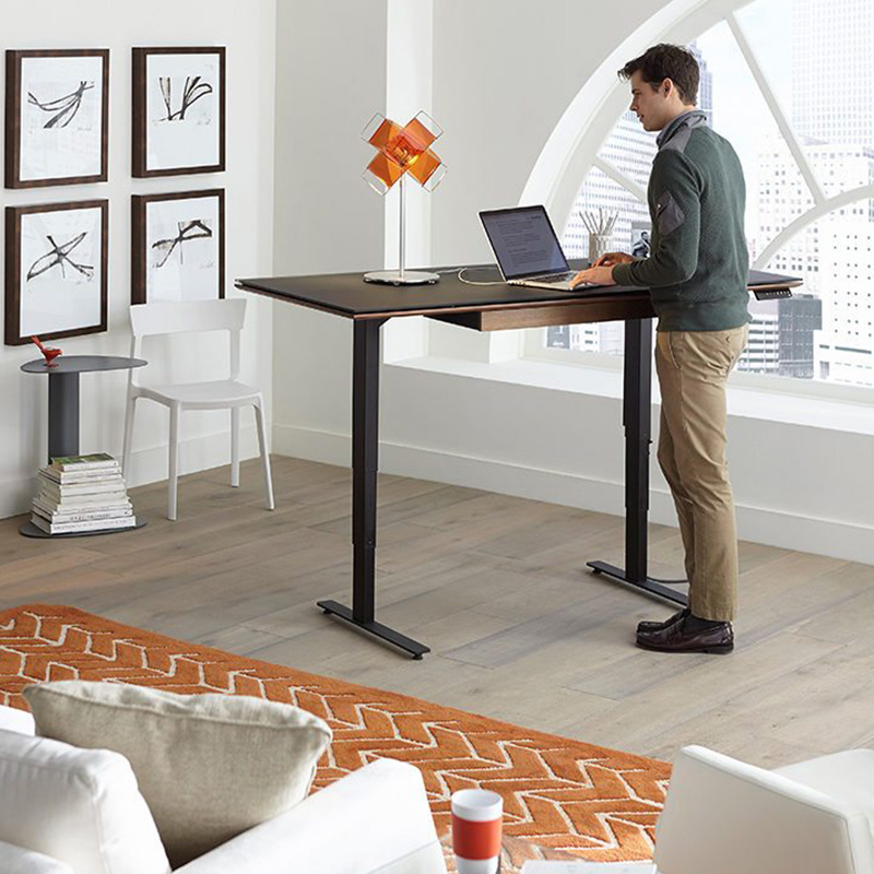 Dual Motor Standing Desk