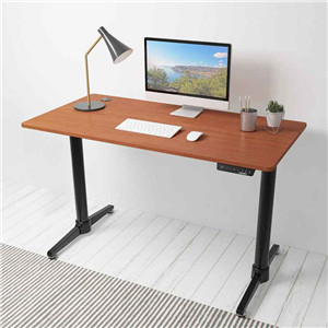 Dual Motor Standing Desk 1