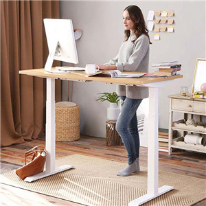 Dual Motor Standing Desk 3